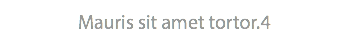 Mauris sit amet tortor.4